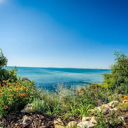 Premier Club - Full Board ホテル